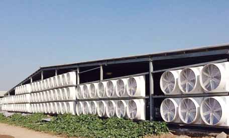 玻璃鋼風(fēng)機(jī) 玻璃鋼風(fēng)機(jī)